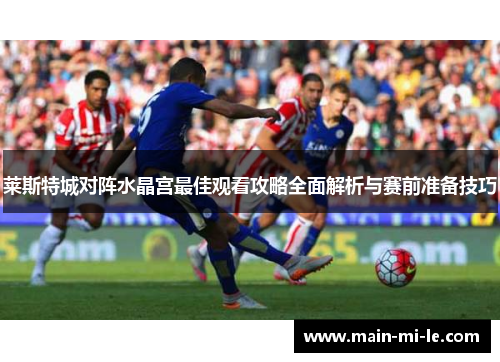 莱斯特城对阵水晶宫最佳观看攻略全面解析与赛前准备技巧 莱斯特城对阵水晶宫最佳观看攻略全面解析与赛前准备技巧