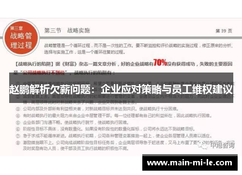 赵鹏解析欠薪问题：企业应对策略与员工维权建议