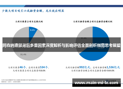 阿森纳遭禁背后多重因素深度解析与影响评估全面剖析指南思考展望 阿森纳遭禁背后多重因素深度解析与影响评估全面剖析指南思考展望