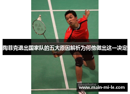 陶菲克退出国家队的五大原因解析为何他做出这一决定