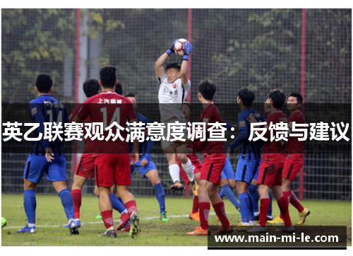 英乙联赛观众满意度调查：反馈与建议