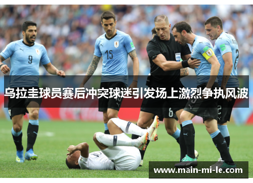 乌拉圭球员赛后冲突球迷引发场上激烈争执风波