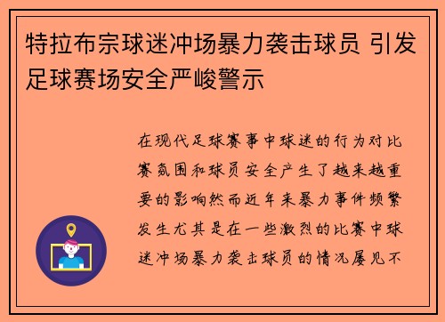 特拉布宗球迷冲场暴力袭击球员 引发足球赛场安全严峻警示