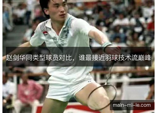 赵剑华同类型球员对比,谁最接近羽球技术流巅峰 赵剑华同类型球员对比,谁最接近羽球技术流巅峰