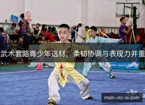 武术套路青少年选材，柔韧协调与表现力并重